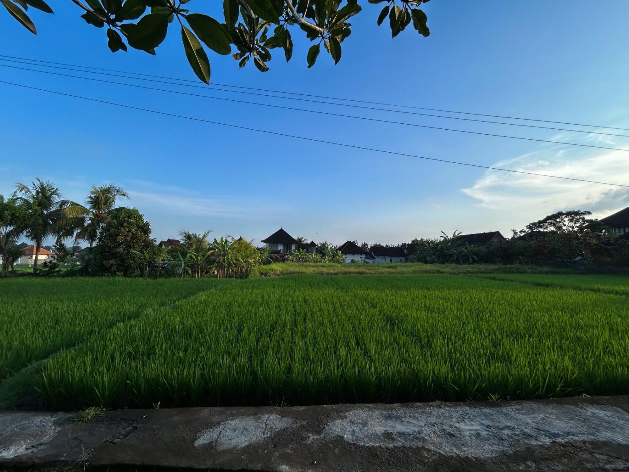 Villa Pondok Edi Ubud Exterior foto
